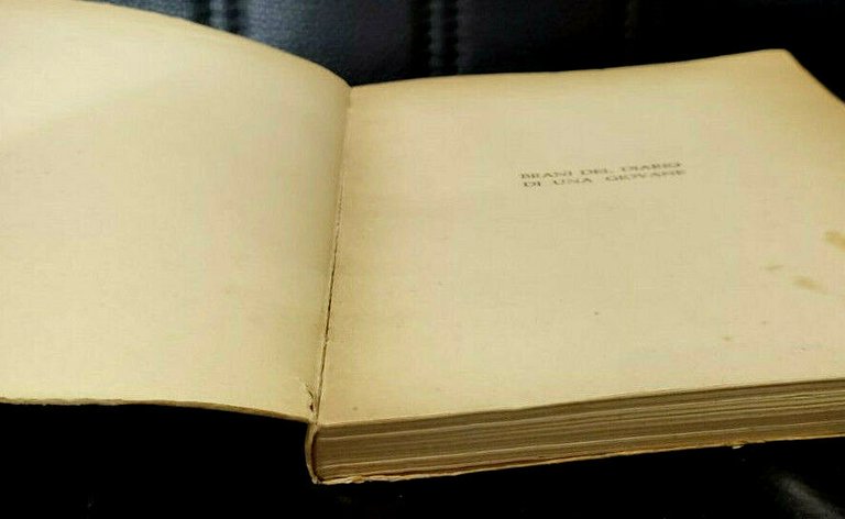 Gemelli BRANI DEL DIARIO DI UNA GIOVANE Preparazione sposa madre …