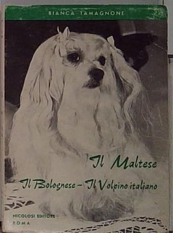 Il maltese - il bolognese - il volpino italiano | Immagine principale