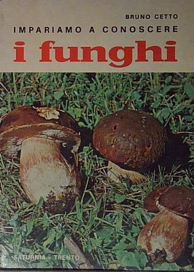 Impariamo a conoscere i funghi. | Immagine principale