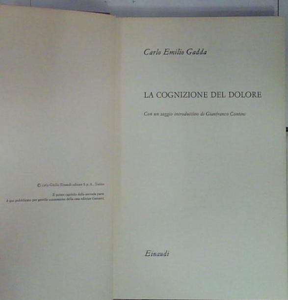 la cognizione del dolore | Immagine principale