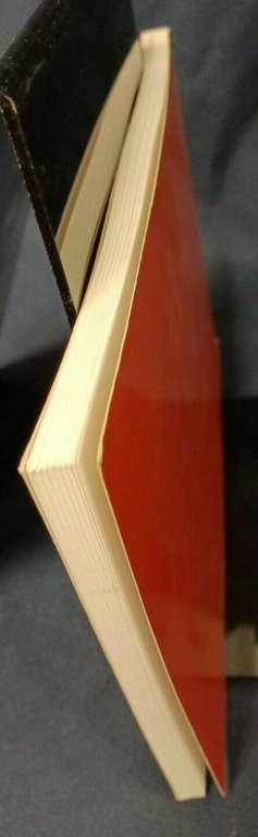 LE PIAZZE DI ROMA nelle vedute dei grandi incisori IL …