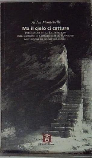 ma il cielo ci cattura | Immagine principale