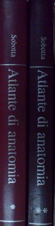 Sobotta ATLANTE DI ANATOMIA | Immagine Gallery 2