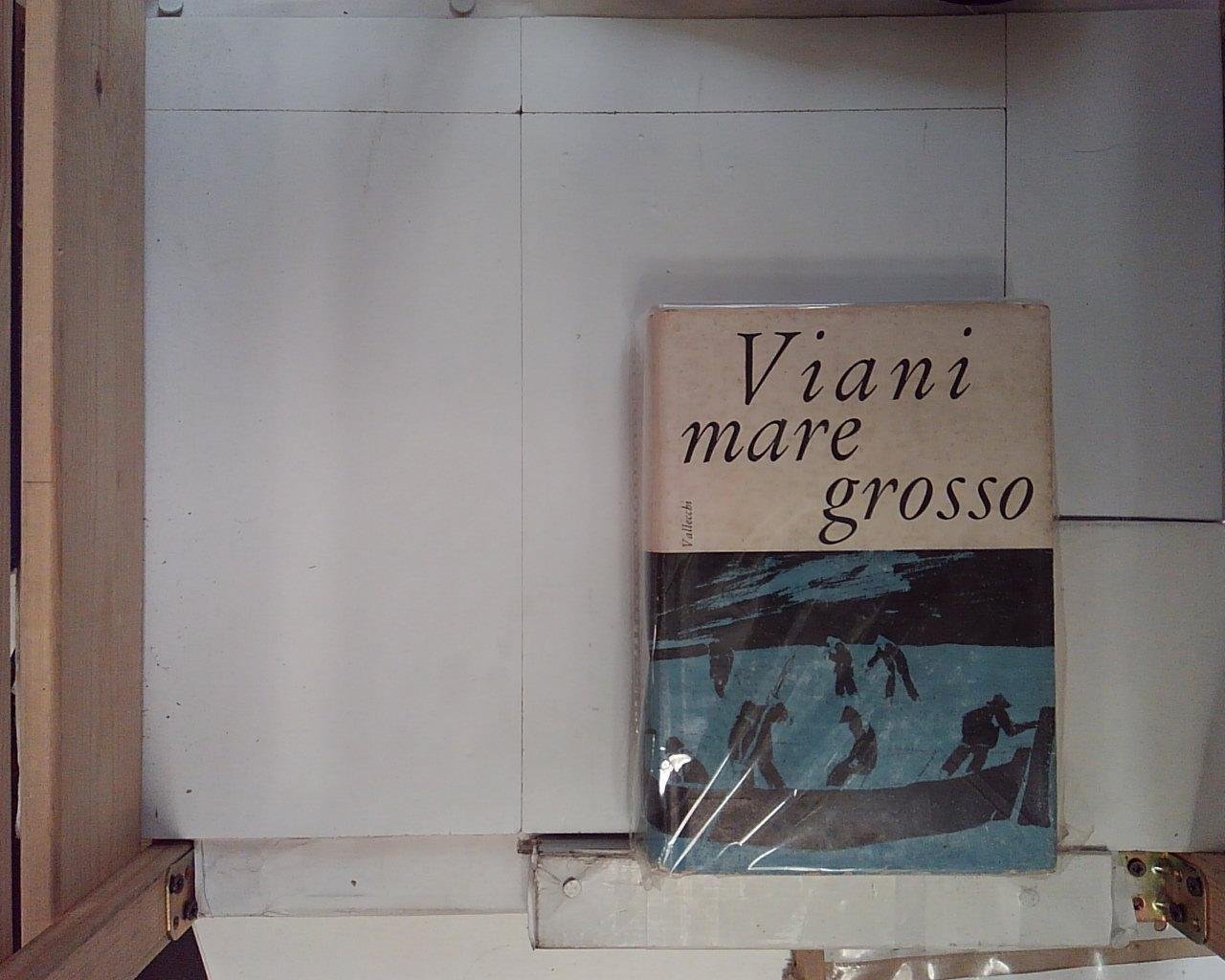 viani mare grosso | Immagine principale