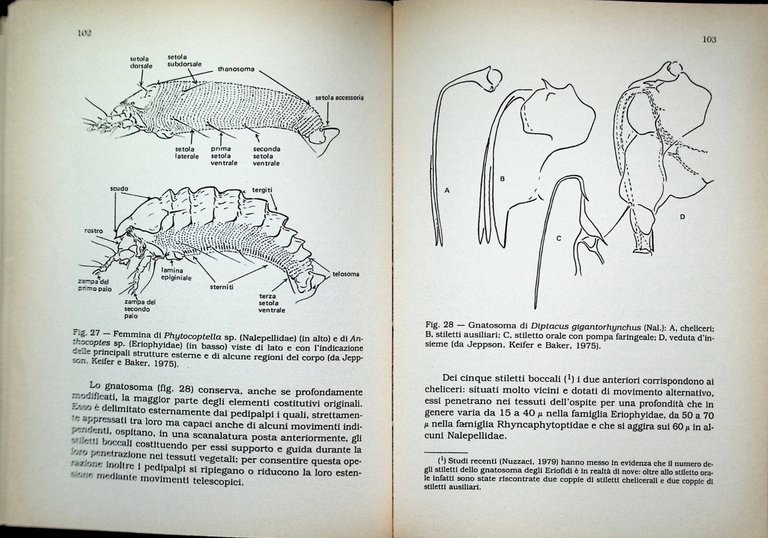 Acari di Interesse Agrario Libro Franco Laffi Clueb 1981