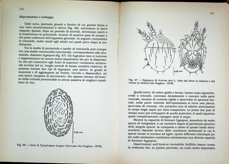 Acari di Interesse Agrario Libro Franco Laffi Clueb 1981