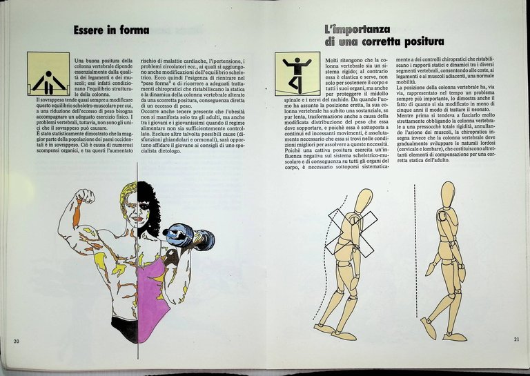 Accenni di Chiropratica