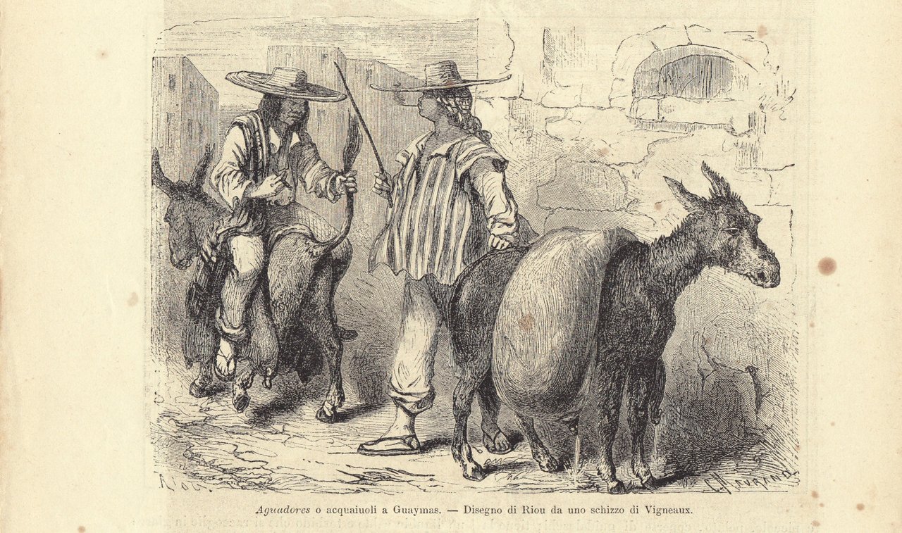 Aguadores a Guaymas/Pianta di Guaymas. Illustrazione 1864 | Immagine principale