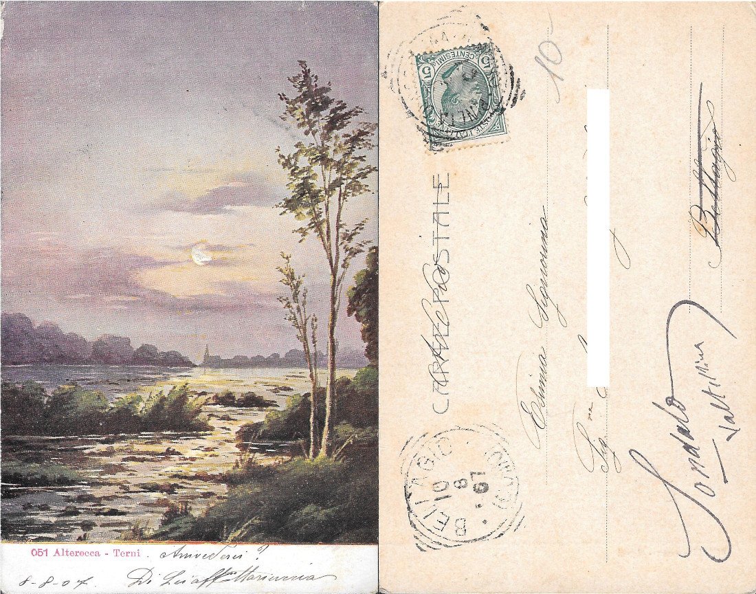 Albero in riva al lago. ed. Alterocca. Viaggiata 1907 | Immagine principale