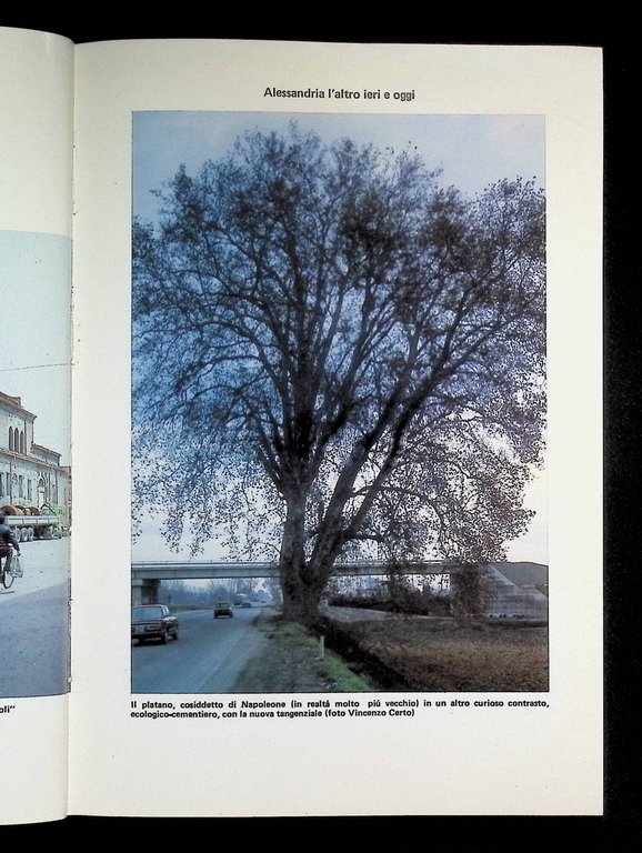 Alessandria. Compendio di Storia Municipale (dalle Origini ai giorni nostri)