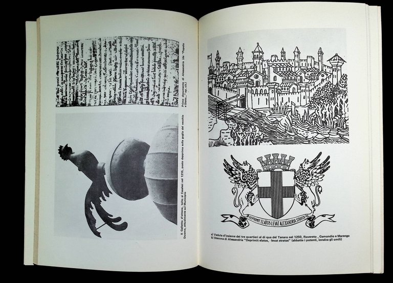 Alessandria. Compendio di Storia Municipale (dalle Origini ai giorni nostri)