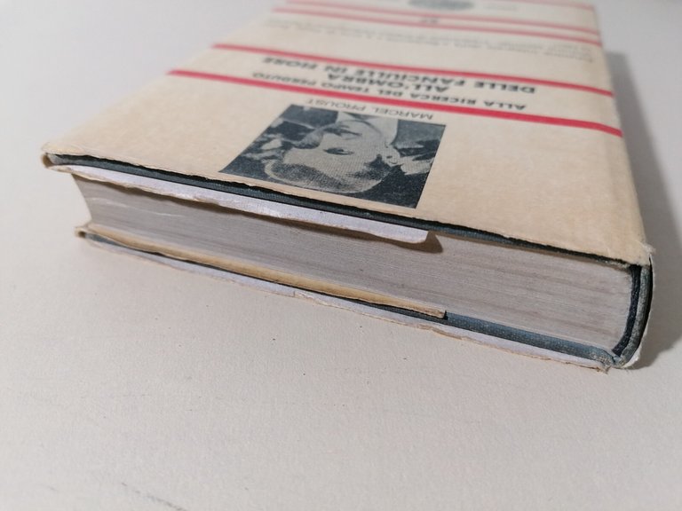 All'ombra delle fanciulle in fiore