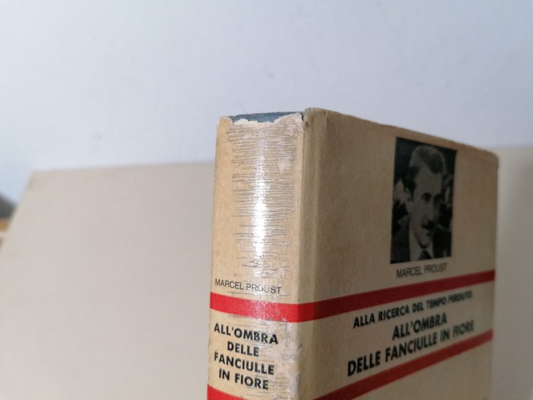 All'ombra delle fanciulle in fiore