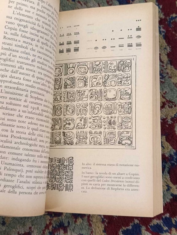 Alla Ricerca dei Maya | Immagine Gallery 8