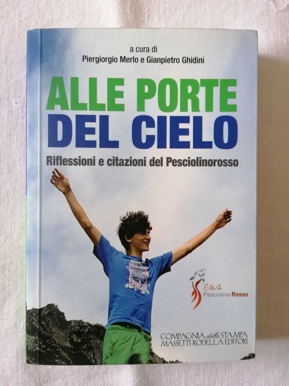 Alle porte del cielo. Riflessioni e citazioni del Pesciolinorosso. Viaggio …