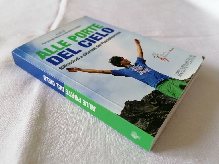 Alle porte del cielo. Riflessioni e citazioni del Pesciolinorosso. Viaggio …