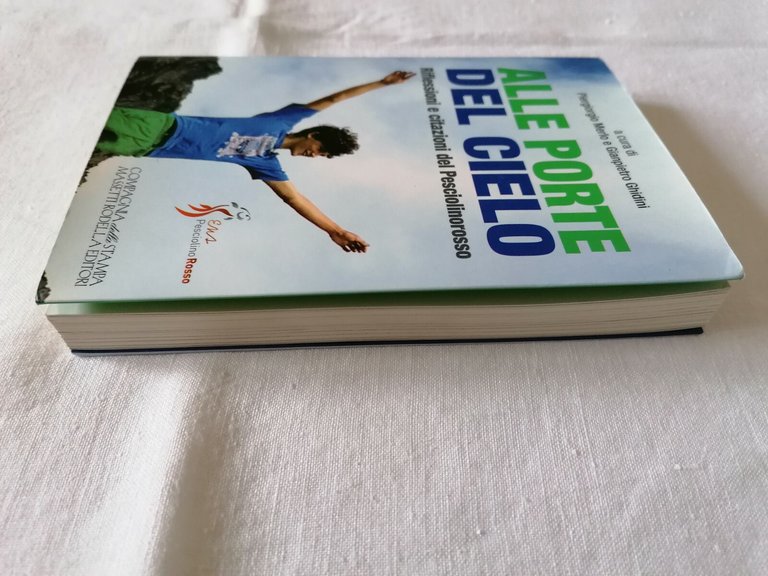 Alle porte del cielo. Riflessioni e citazioni del Pesciolinorosso. Viaggio …