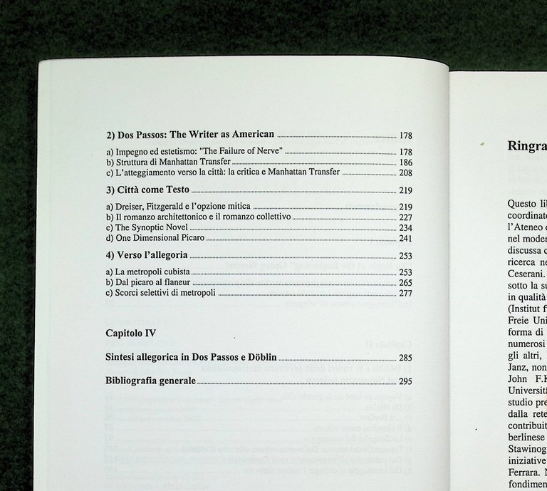 Allegorie Metropolitane - Metropoli Poetiche Moderniste, Libro Mauro Pala Cuec