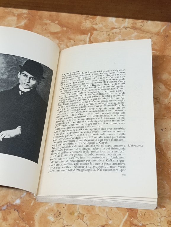 America. I Grandi Libri Garzanti | Immagine Gallery 7