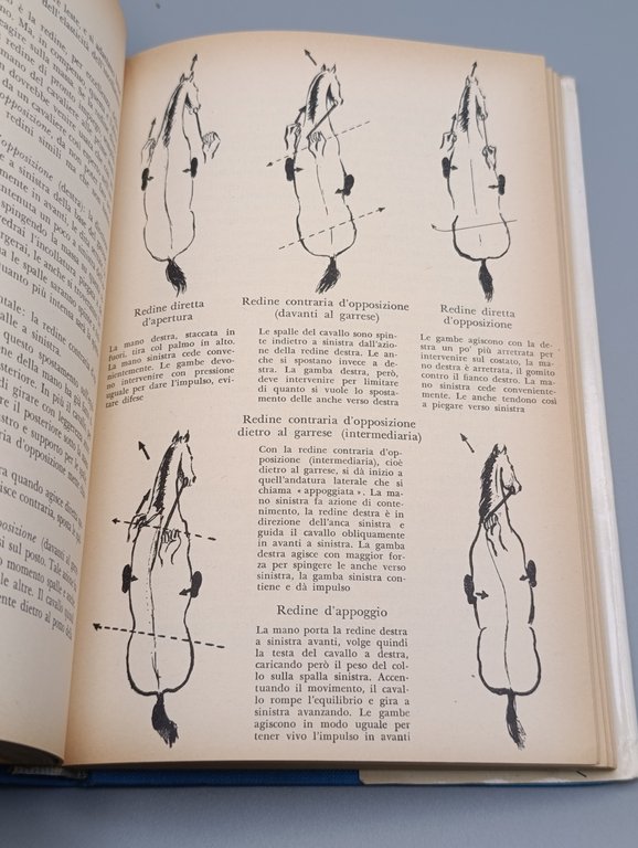 Andare a Cavallo. Guida Pratica per Tutti