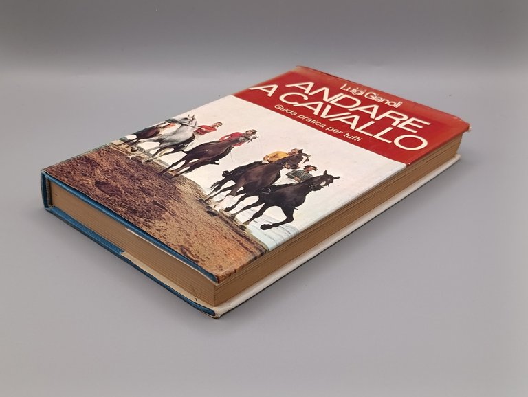 Andare a Cavallo. Guida Pratica per Tutti