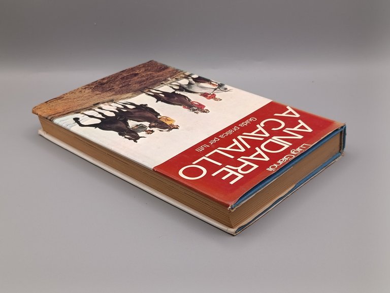 Andare a Cavallo. Guida Pratica per Tutti