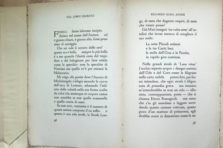 Angelo Cocles. Cento e cento Pagine del Libro Segreto di …