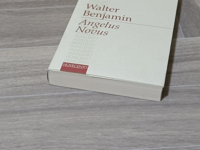 Angelus Novus (Novecento). Saggi e frammeti. Mondolibri