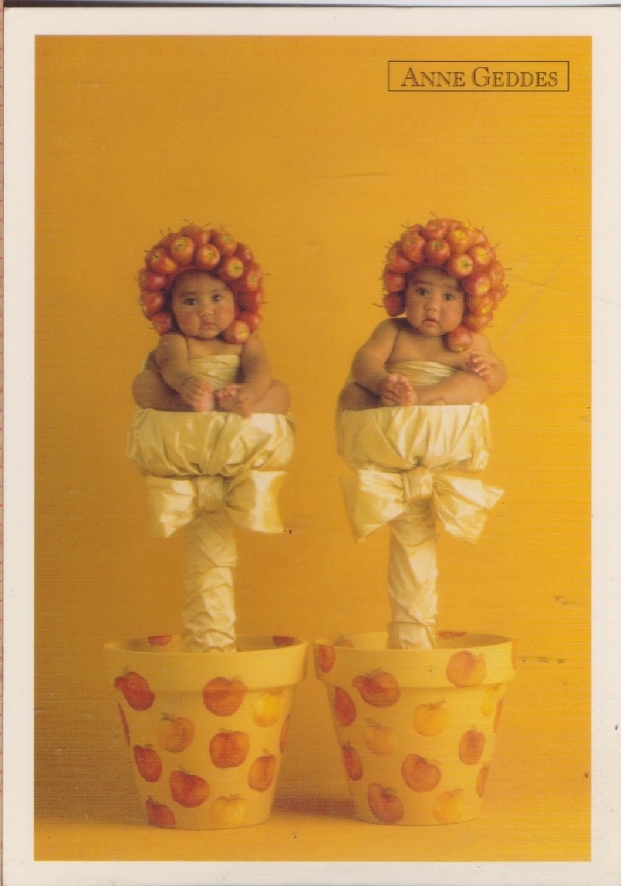 Anne Geddes. Apple topiary trees. Non viaggiata | Immagine principale