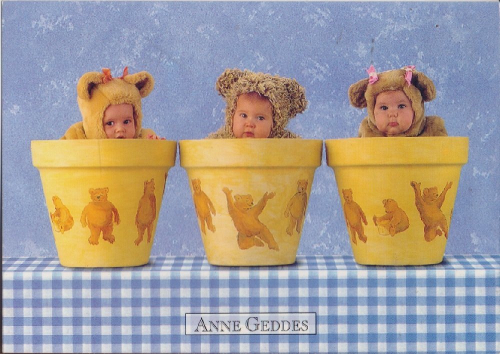 Anne Geddes. Teddy Bear Pots. Non viaggiata | Immagine principale
