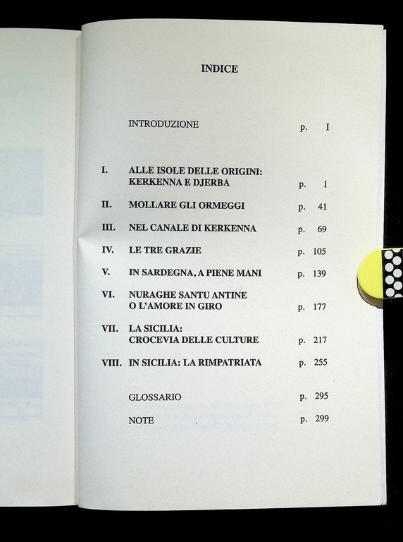 Annibale il mediterrante