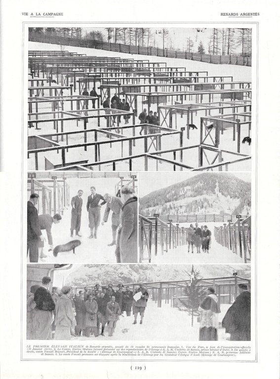 Appareils Ménagers / Renards Argentés - Immagine 1928 | Immagine Gallery 2