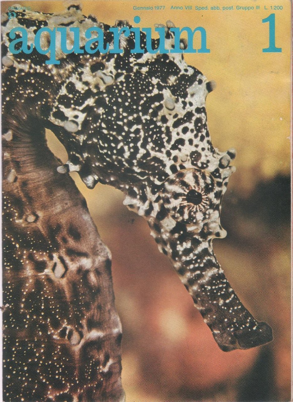 Aquarium. 1977 n 1 | Immagine principale