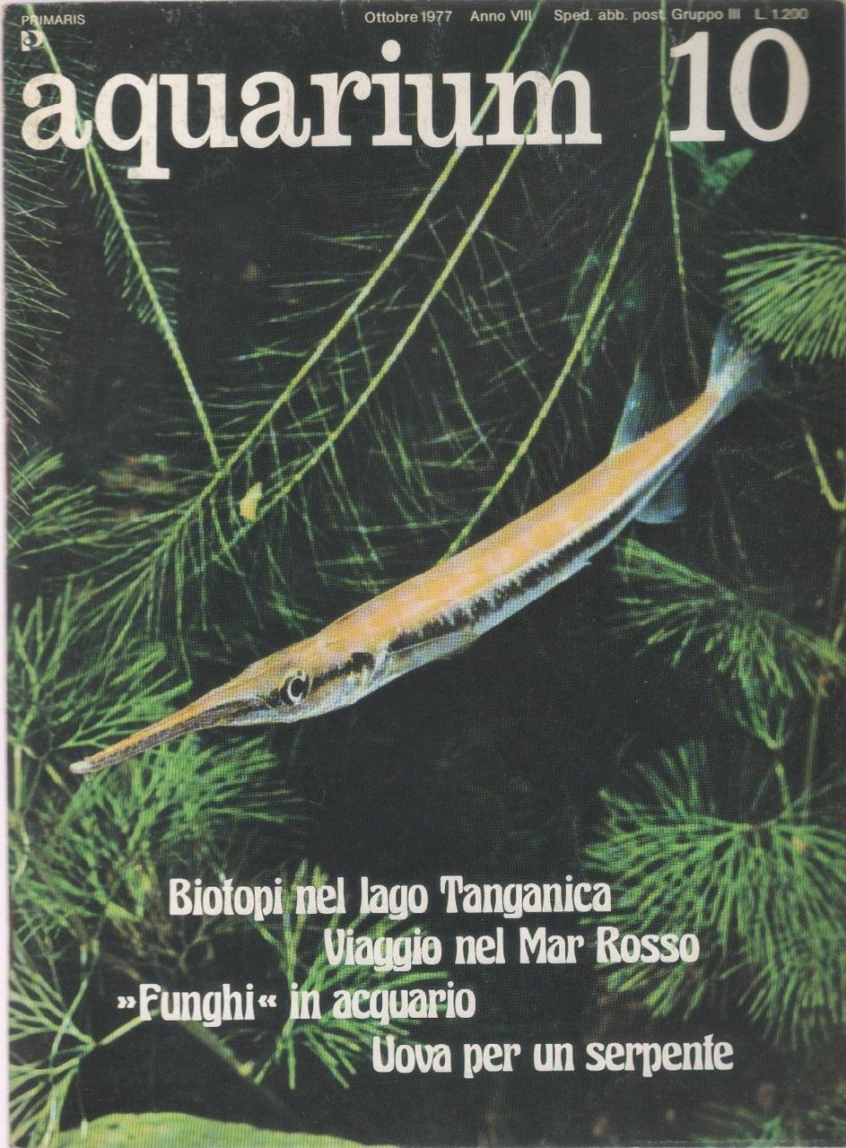 Aquarium. 1977 n 10 | Immagine principale