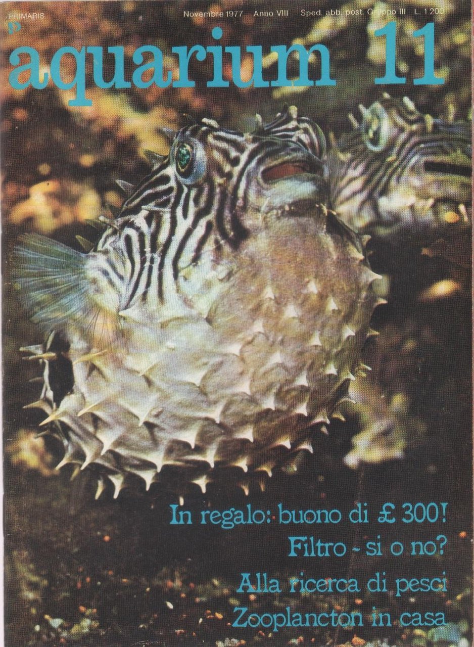 Aquarium. 1977 n 11 | Immagine principale