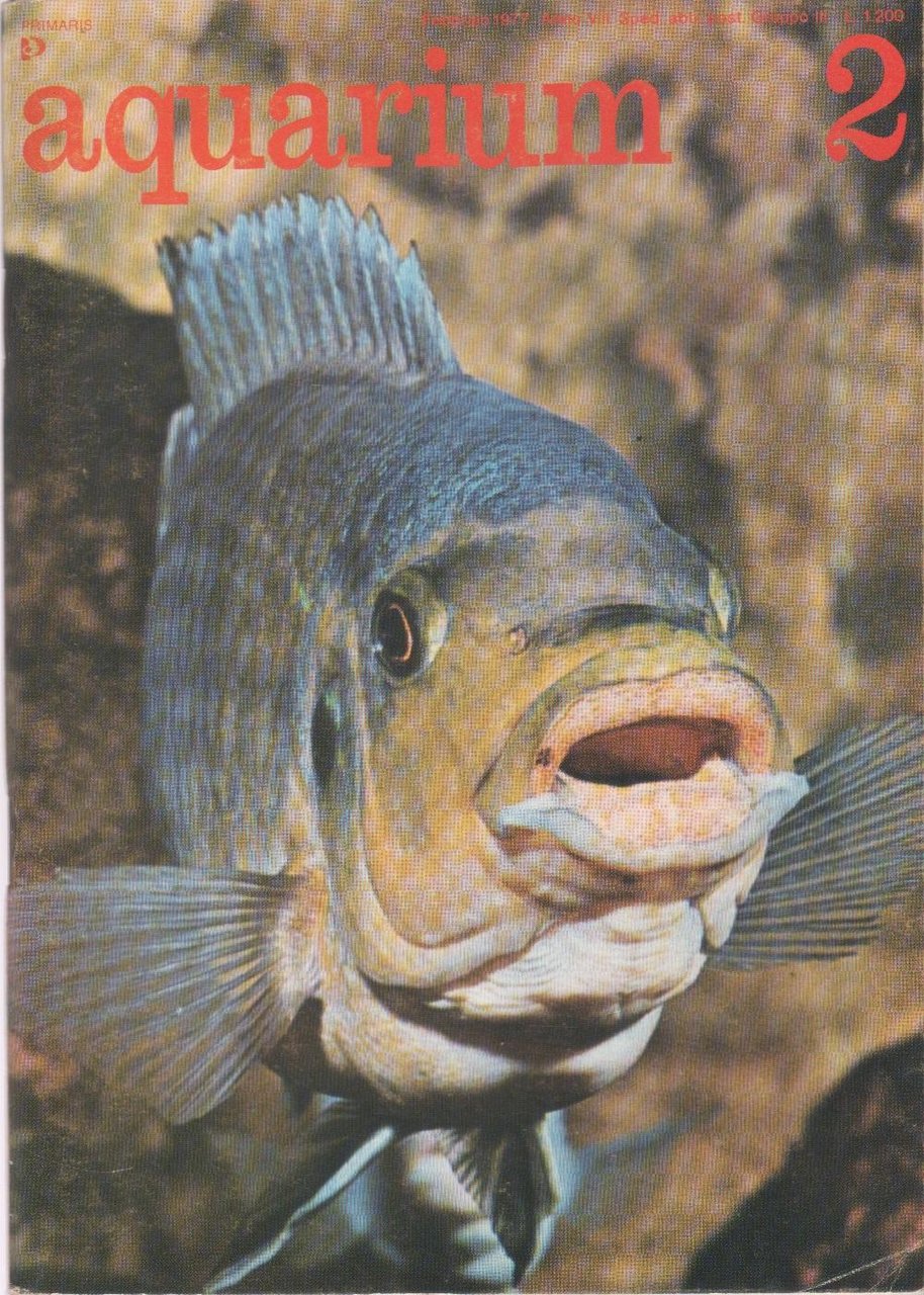 Aquarium. 1977 n 2 | Immagine principale