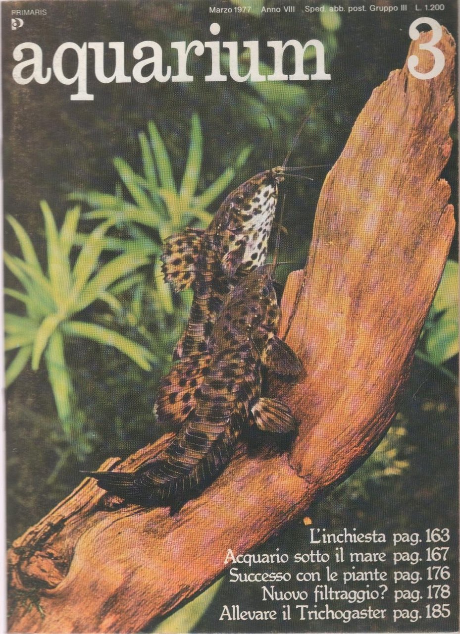Aquarium. 1977 n 3 | Immagine principale