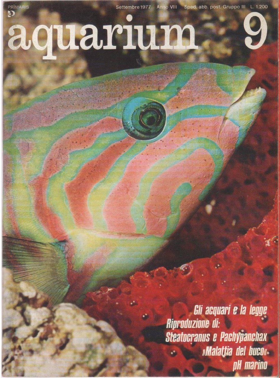 Aquarium. 1977 n 9 | Immagine principale