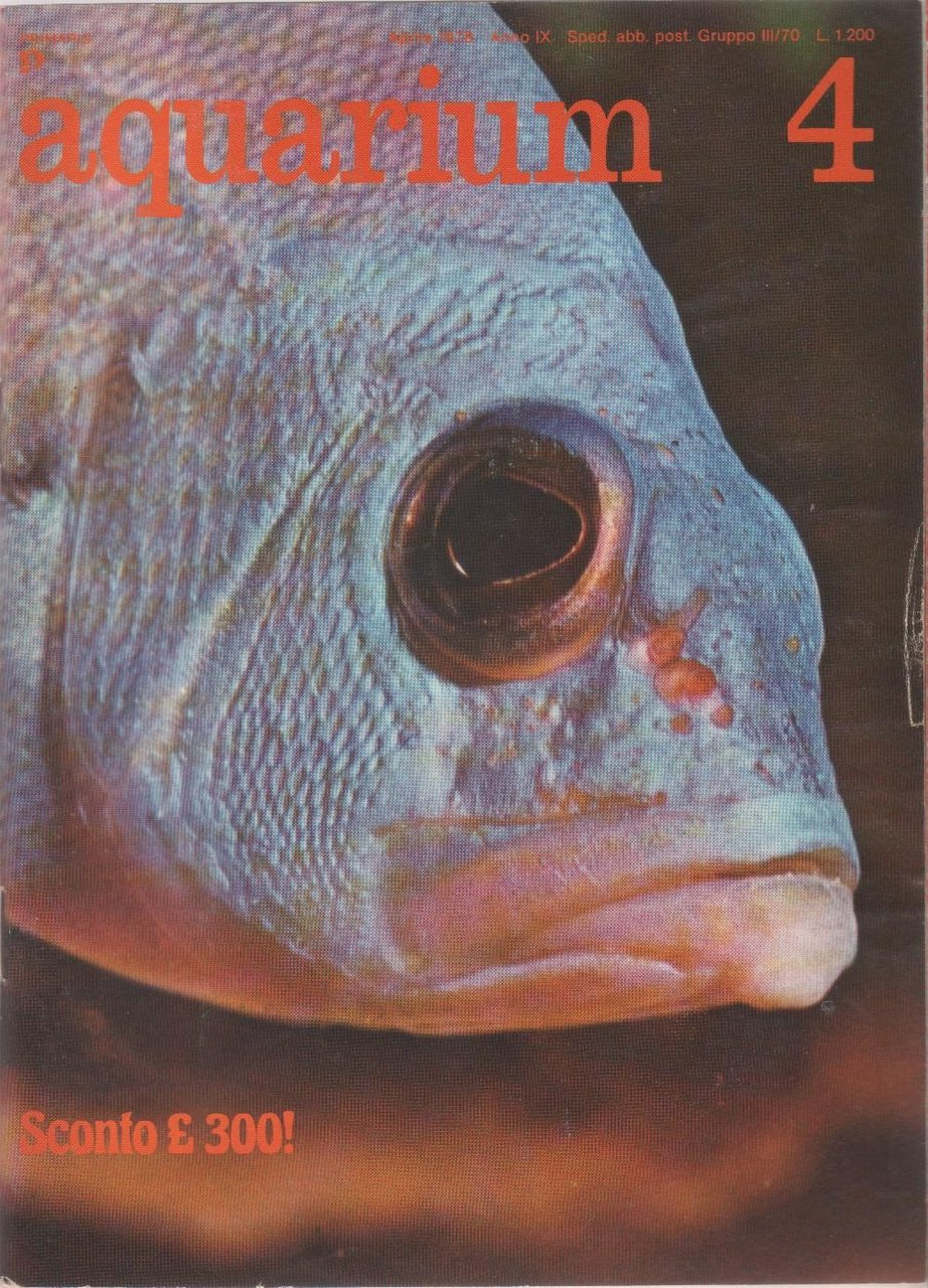 Aquarium. 1978 n 4 | Immagine principale