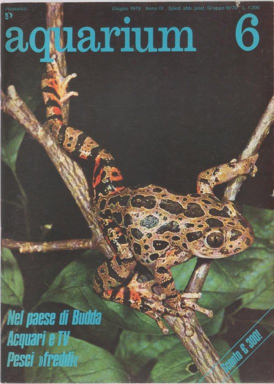 Aquarium. 1978 n 6 | Immagine Gallery 2