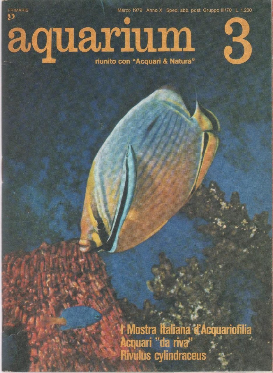 Aquarium. 1979 n 3 | Immagine principale