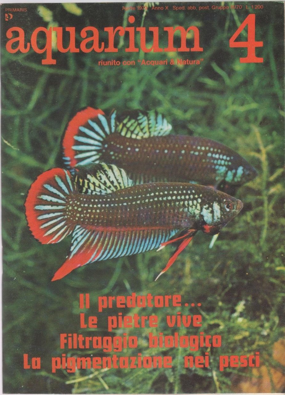 Aquarium. 1979 n 4 | Immagine principale