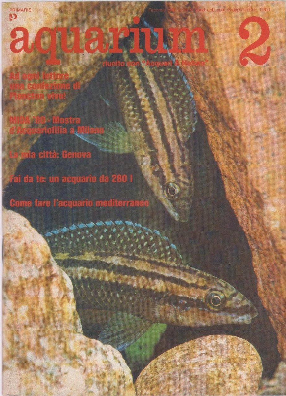 Aquarium. 1980 n 2 | Immagine principale