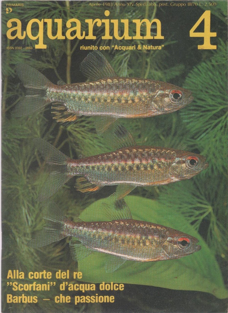 Aquarium. 1983 n 4 | Immagine principale