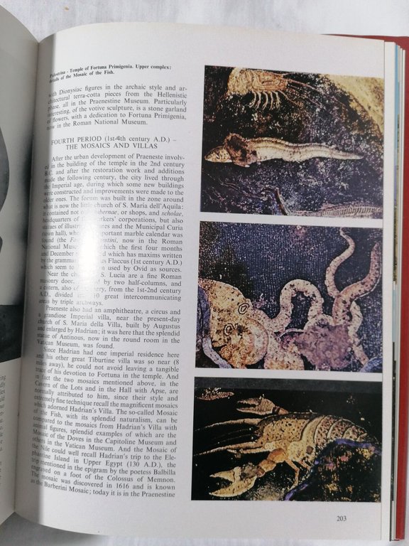 Archeological Latium - Libro Dal Maso Vighi Bonechi 1979 arte …