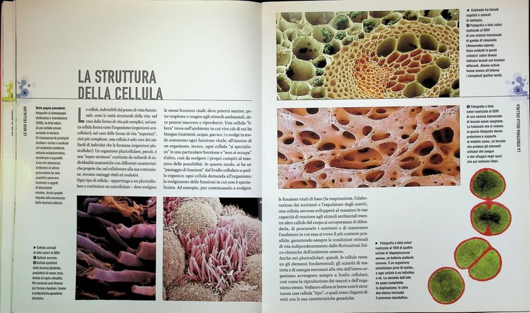 Atlante Illustrato di Genetica Libro Giunti Basi Della Vita 9788809051157