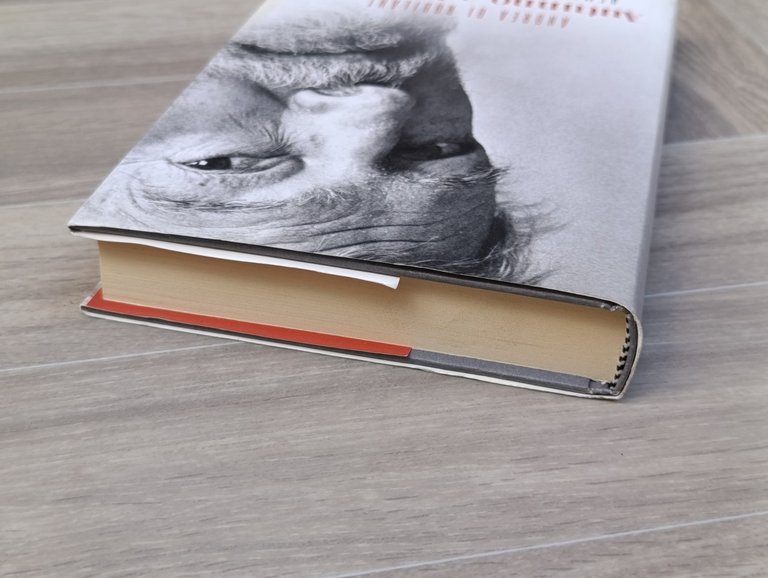 Autunno a Venezia. Hemingway e l'ultima musa