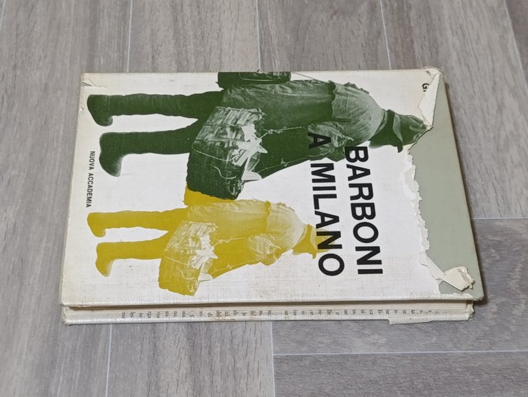 Barboni a Milano