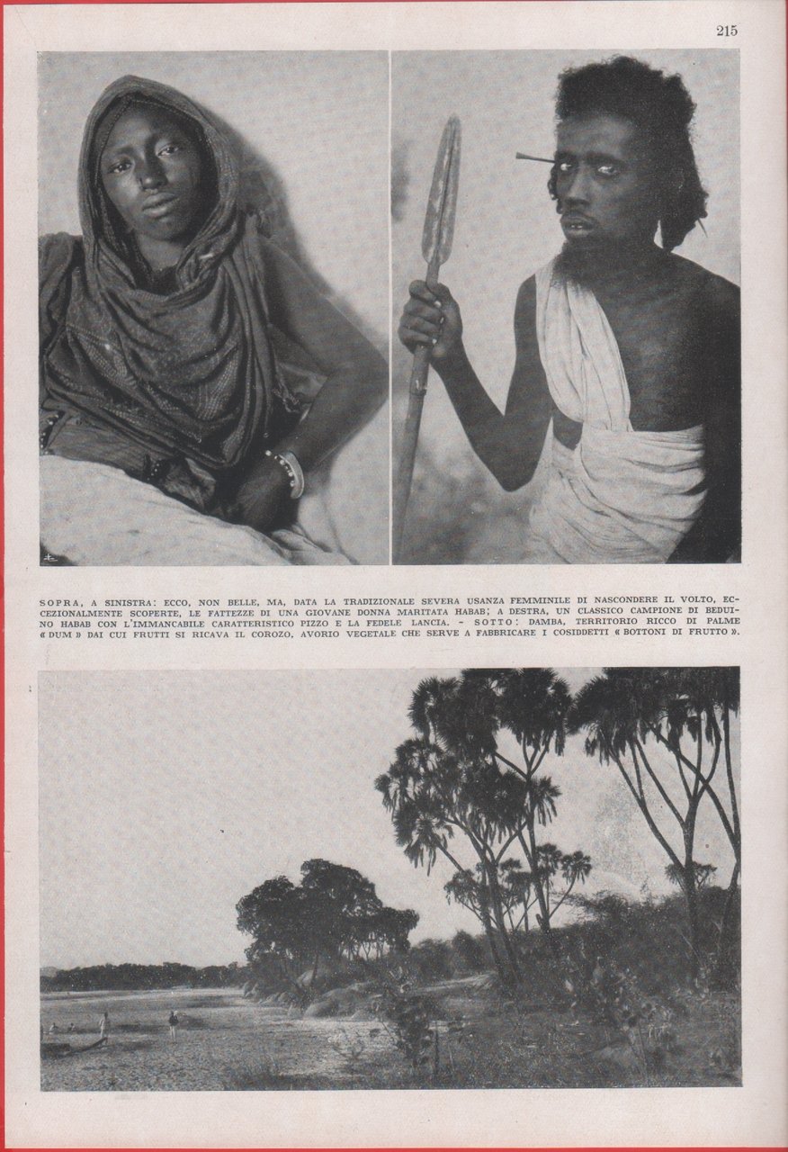 Beduini Habab (Sahel), Palme Dum. Immagine 1937 | Immagine principale