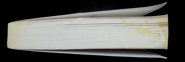 Bianca come il latte rossa come il sangue